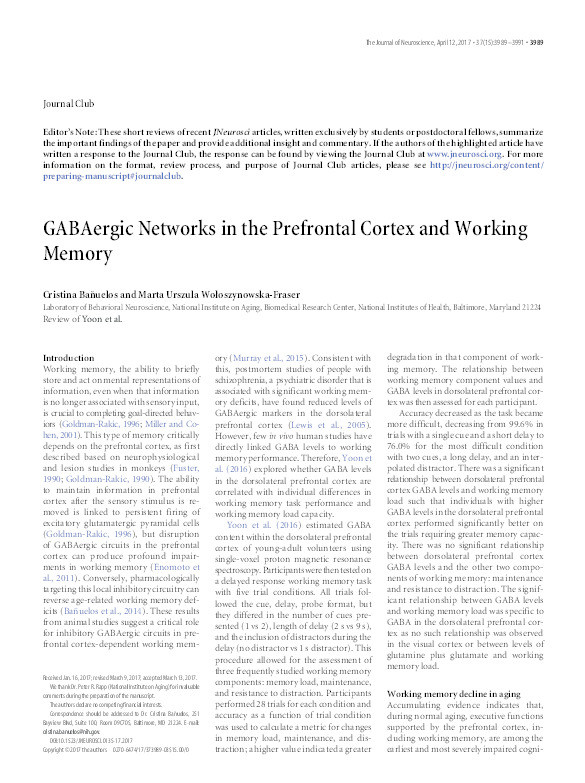 GABAergic Networks in the Prefrontal Cortex and Working Memory. Thumbnail