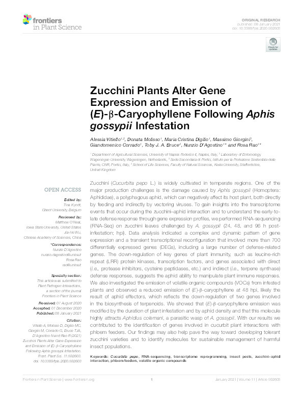 Zucchini Plants Alter Gene Expression and Emission of (E)-ß-Caryophyllene Following Aphis gossypii Infestation Thumbnail