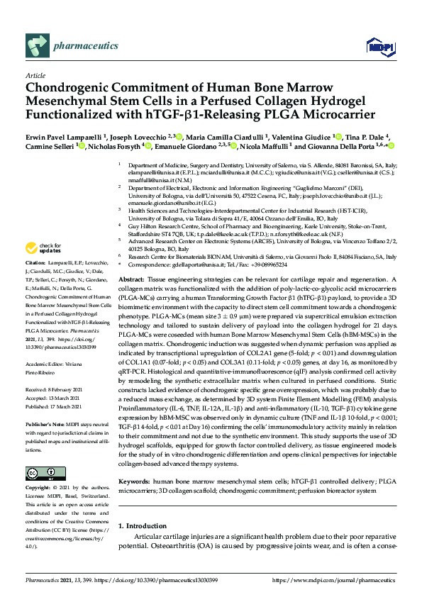 Chondrogenic Commitment of Human Bone Marrow Mesenchymal Stem Cells in a Perfused Collagen Hydrogel Functionalized with hTGF-ß1-Releasing PLGA Microcarrier Thumbnail