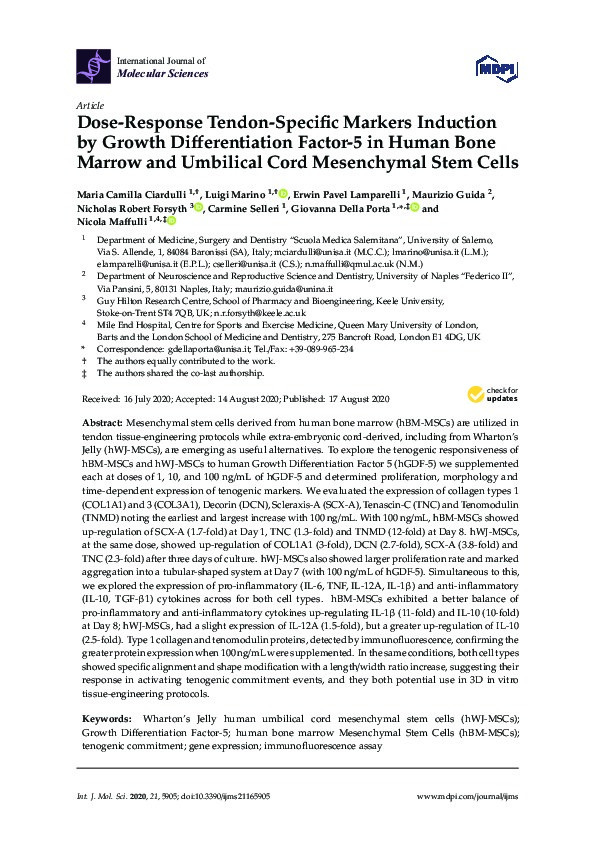 Dose-Response Tendon-Specific Markers Induction by Growth Differentiation Factor-5 in human bone marrow and umbilical cord Mesenchymal Stem Cells Thumbnail