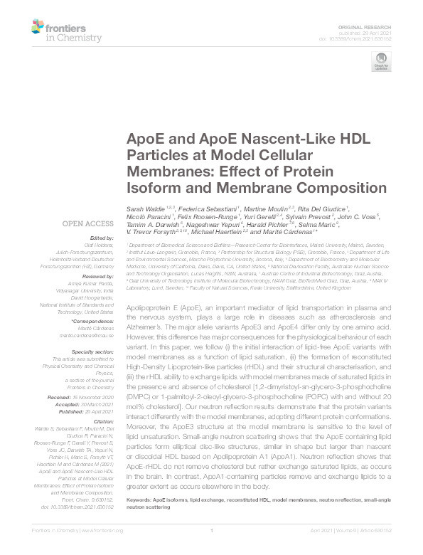 ApoE and ApoE Nascent-Like HDL Particles at Model Cellular Membranes: Effect of Protein Isoform and Membrane Composition. Thumbnail