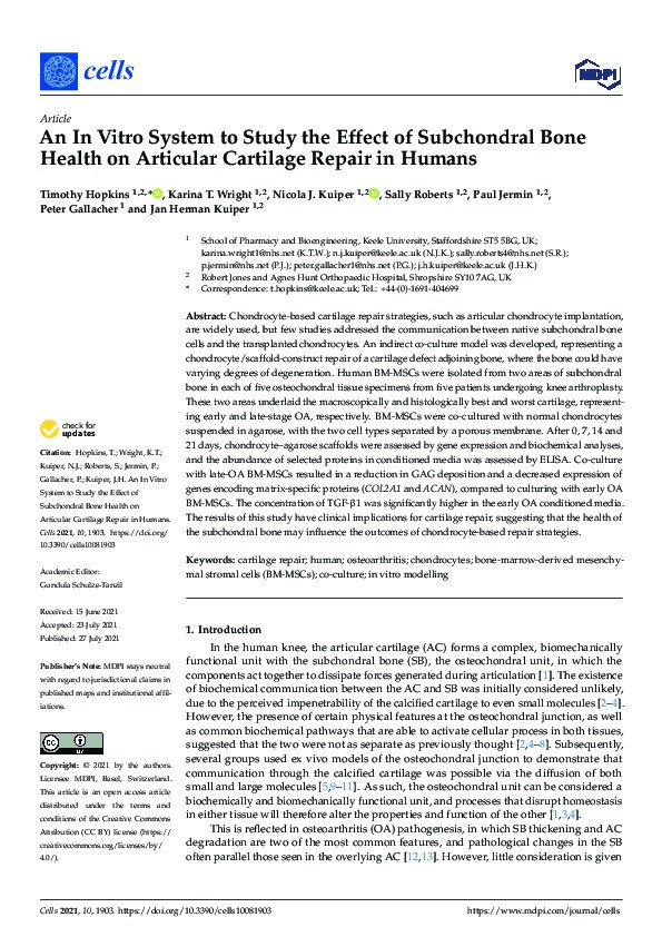 An In Vitro System to Study the Effect of Subchondral Bone Health on Articular Cartilage Repair in Humans. Thumbnail