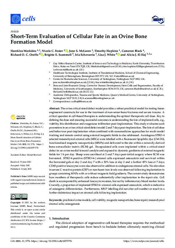 Short-Term Evaluation of Cellular Fate in an Ovine Bone Formation Model. Thumbnail