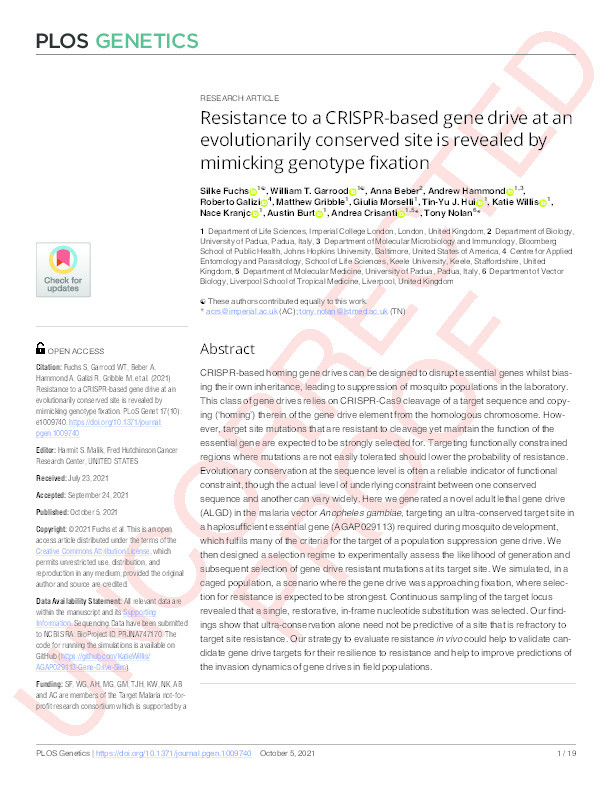 Resistance to a CRISPR-based gene drive at an evolutionarily conserved site is revealed by mimicking genotype fixation Thumbnail