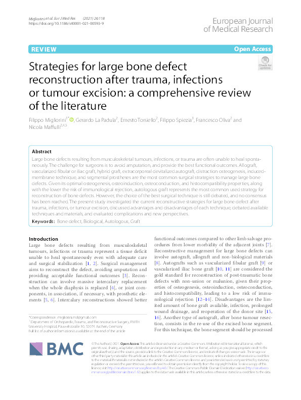 Strategies for large bone defect reconstruction after trauma, infections or tumour excision: a comprehensive review of the literature Thumbnail