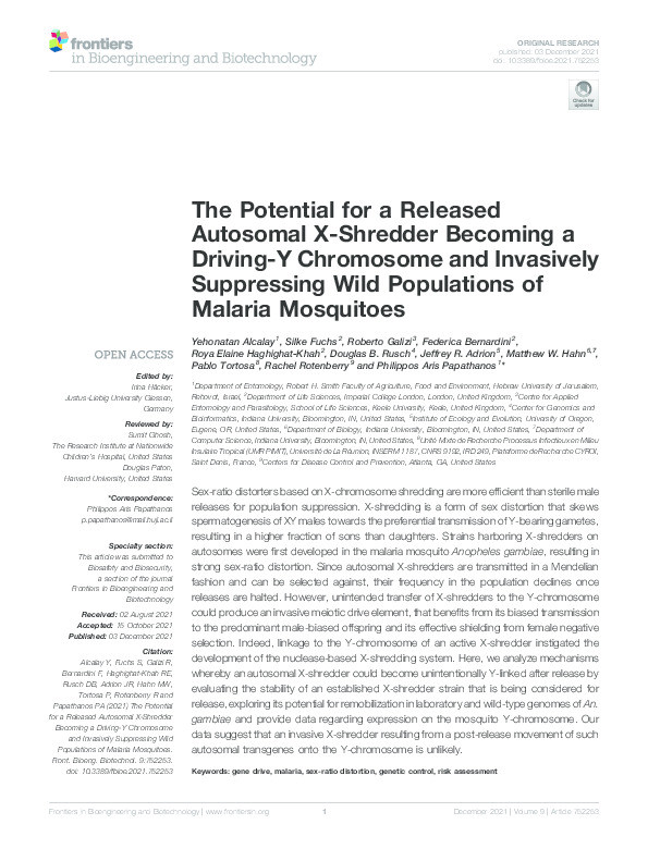 The Potential for a Released Autosomal X-Shredder Becoming a Driving-Y Chromosome and Invasively Suppressing Wild Populations of Malaria Mosquitoes Thumbnail