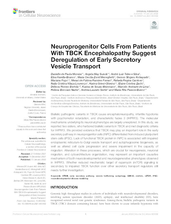 Neuroprogenitor Cells From Patients With TBCK Encephalopathy Suggest Deregulation of Early Secretory Vesicle Transport Thumbnail