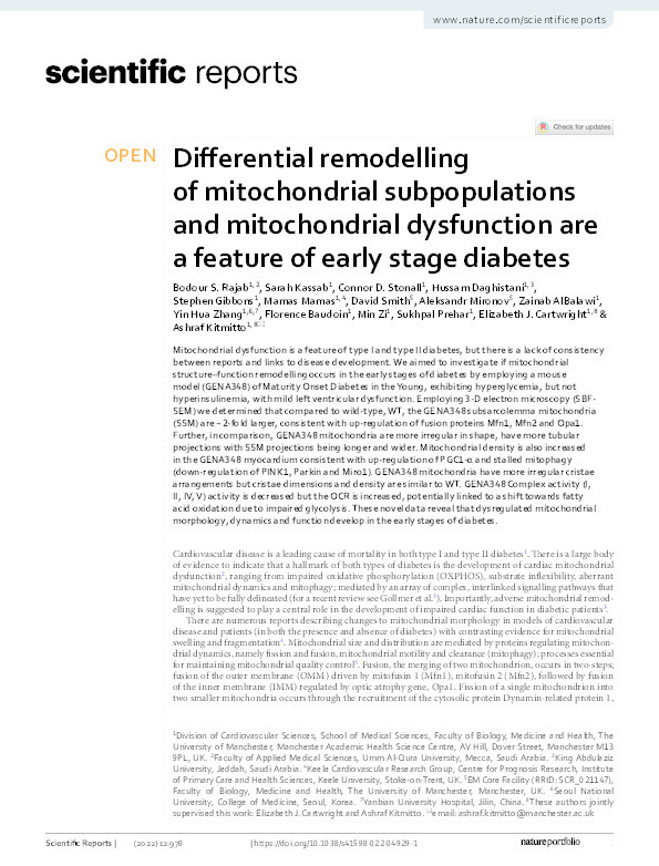 Differential remodelling of mitochondrial subpopulations and mitochondrial dysfunction are a feature of early stage diabetes Thumbnail