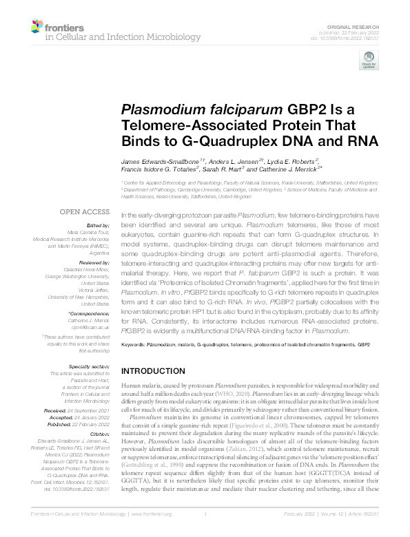 Plasmodium falciparum GBP2 is a telomere-associated protein that binds to G-quadruplex DNA and RNA Thumbnail
