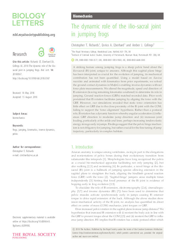 The dynamic role of the ilio-sacral joint in jumping frogs. Thumbnail