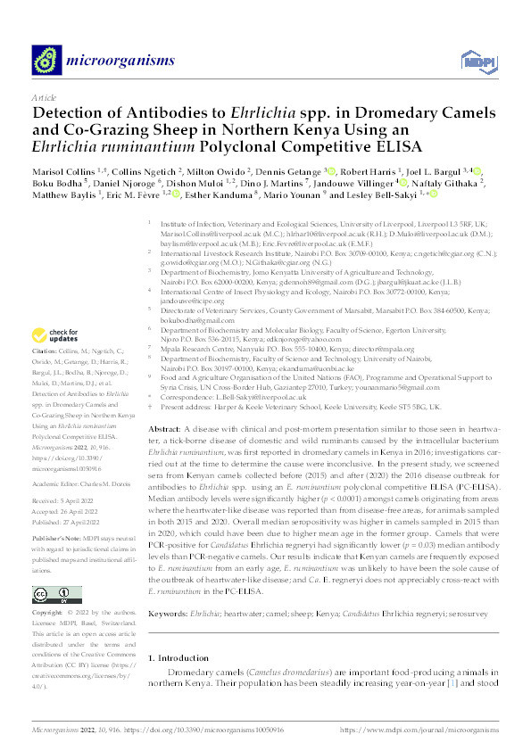 Detection of Antibodies to Ehrlichia spp. in Dromedary Camels and Co-Grazing Sheep in Northern Kenya Using an Ehrlichia ruminantium Polyclonal Competitive ELISA Thumbnail