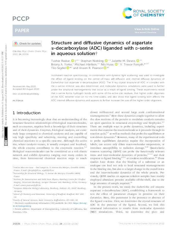 Structure and diffusive dynamics of aspartate a-decarboxylase (ADC) liganded with D-serine in aqueous solution. Thumbnail