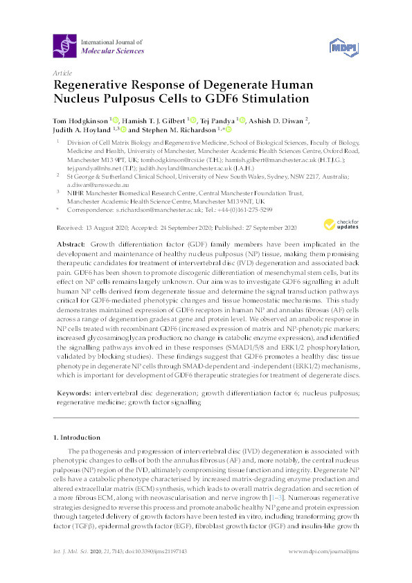 Regenerative Response of Degenerate Human Nucleus Pulposus Cells to GDF6 Stimulation Thumbnail