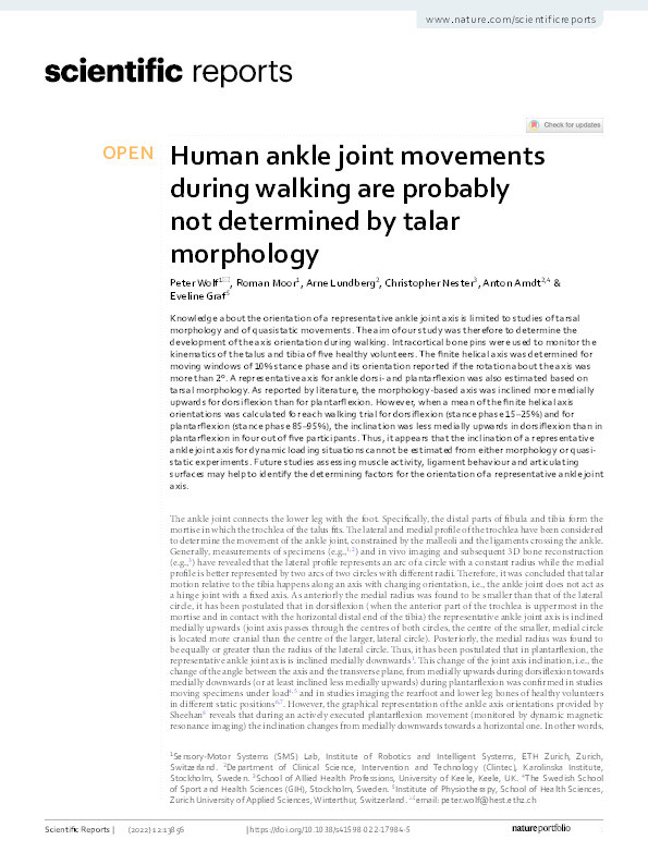Human ankle joint movements during walking are probably not determined by talar morphology. Thumbnail