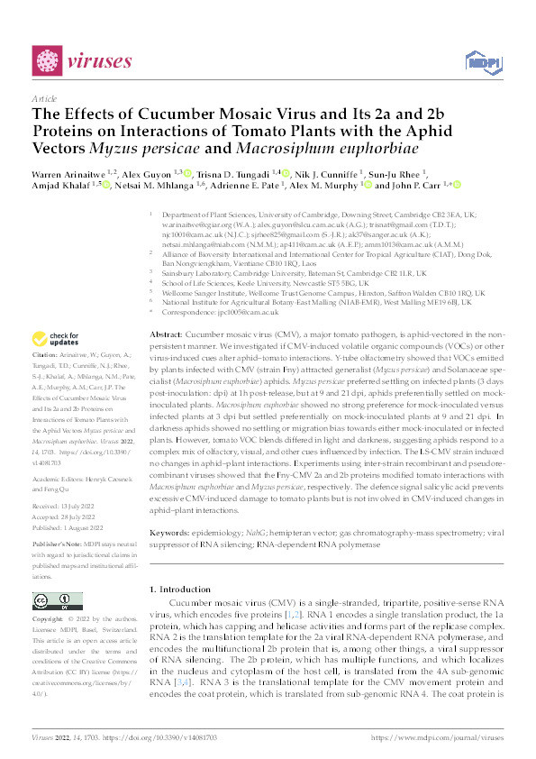 The Effects of Cucumber Mosaic Virus and Its 2a and 2b Proteins on Interactions of Tomato Plants with the Aphid Vectors Myzus persicae and Macrosiphum euphorbiae. Thumbnail