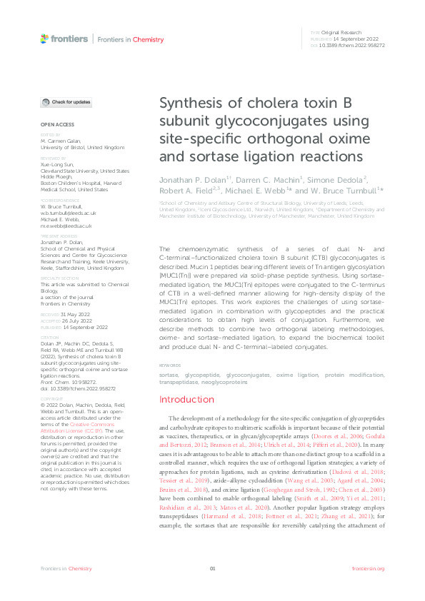 Synthesis of cholera toxin B subunit glycoconjugates using site-specific orthogonal oxime and sortase ligation reactions Thumbnail