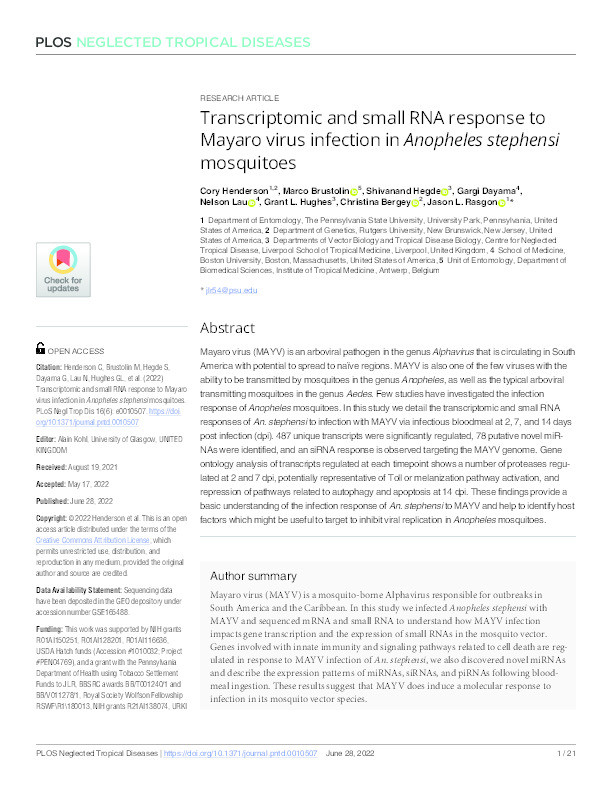 Transcriptomic and small RNA response to Mayaro virus infection in Anopheles stephensi mosquitoes Thumbnail