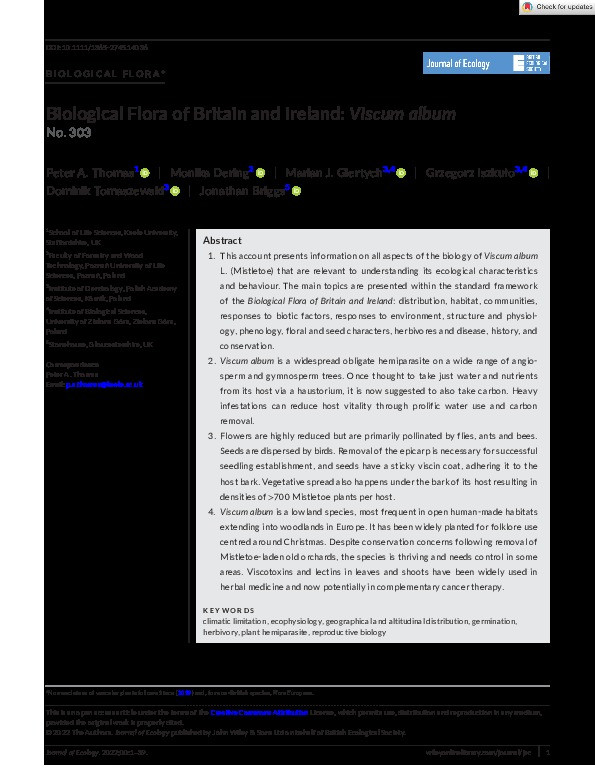 Biological Flora of Britain and Ireland: Viscum album Thumbnail