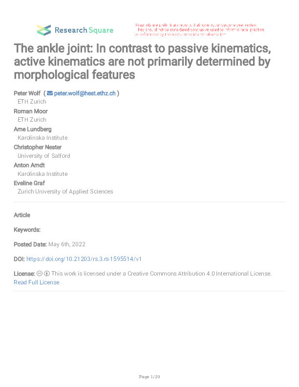 The ankle joint: In contrast to passive kinematics, active kinematics are not primarily determined by morphological features Thumbnail